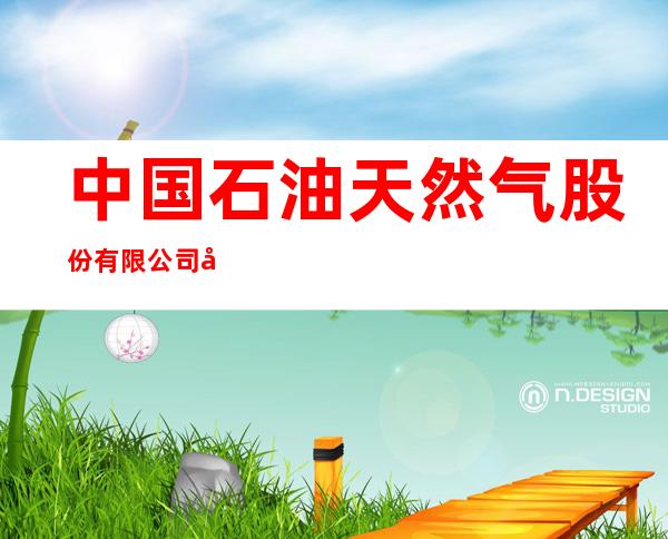 中国石油天然气股份有限公司内蒙古鄂尔多斯市销售分公司棋盘井神州加油站